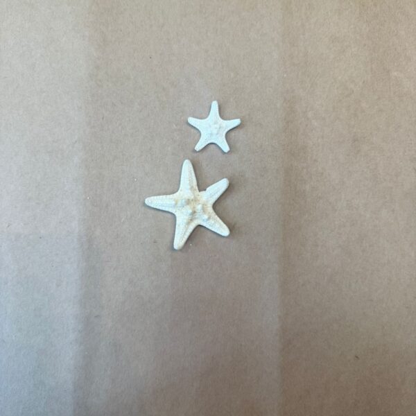 STAR FISH SMALL