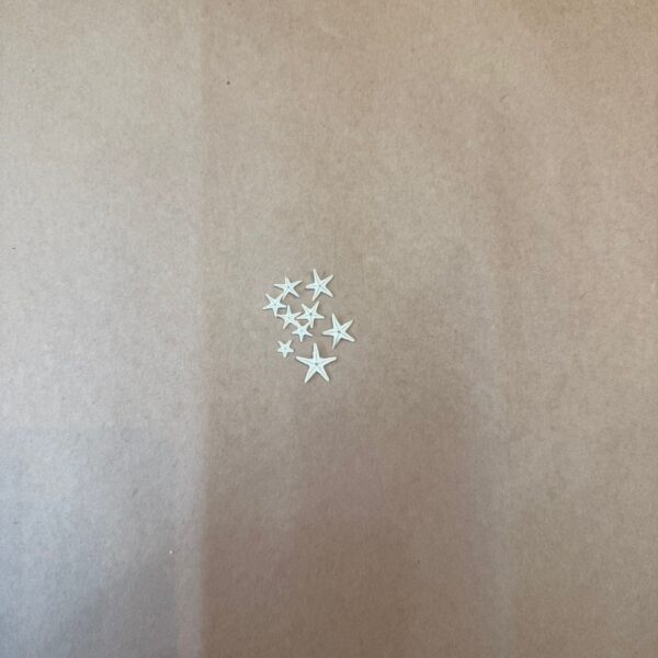 STAR FISH EXTRA SMALL